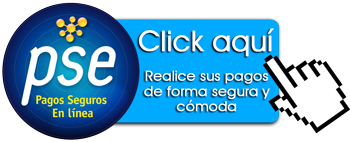 Pago-Online-PSE Pago-Online-PSE